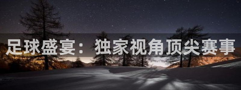 足球盛宴：独家视角顶尖赛事